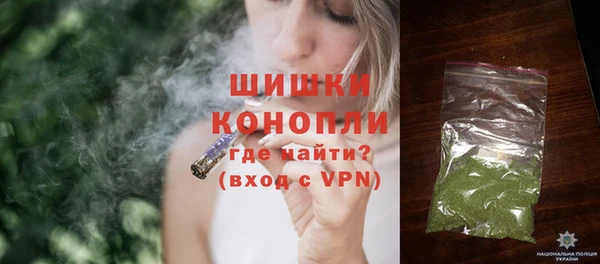 амф Новозыбков