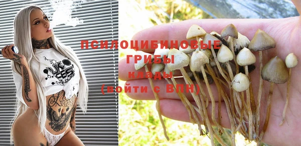 прущая мука Няндома