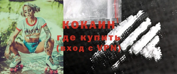 амф Новозыбков