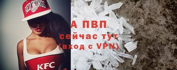 амф Новозыбков