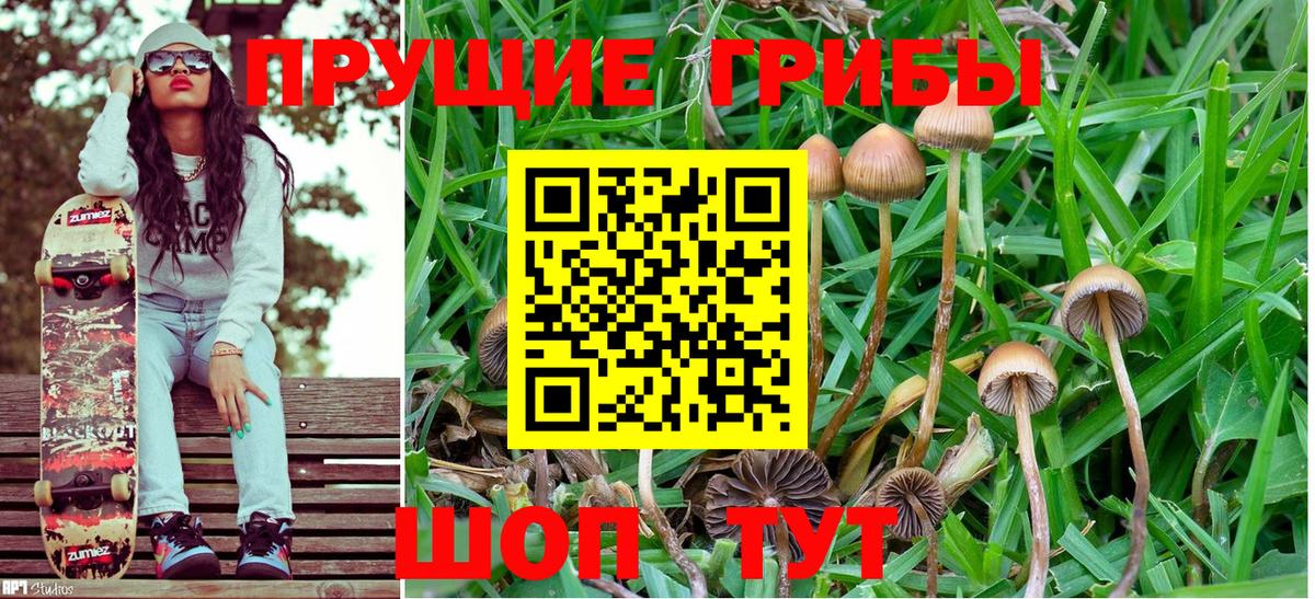 Галлюциногенные грибы MAGIC MUSHROOMS  Галлюциногенные грибы Magic Shrooms  Губкинский 