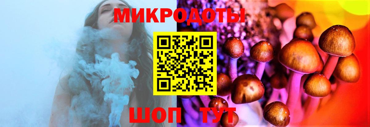 Псилоцибиновые грибы мухоморы Губкинский