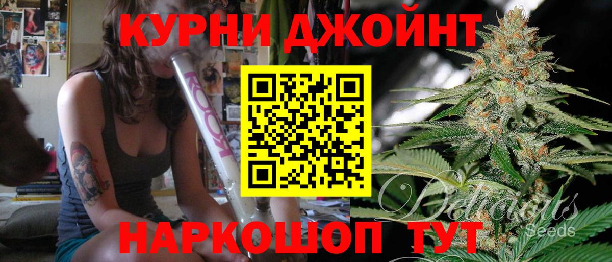 Каннабис гибрид Губкинский
